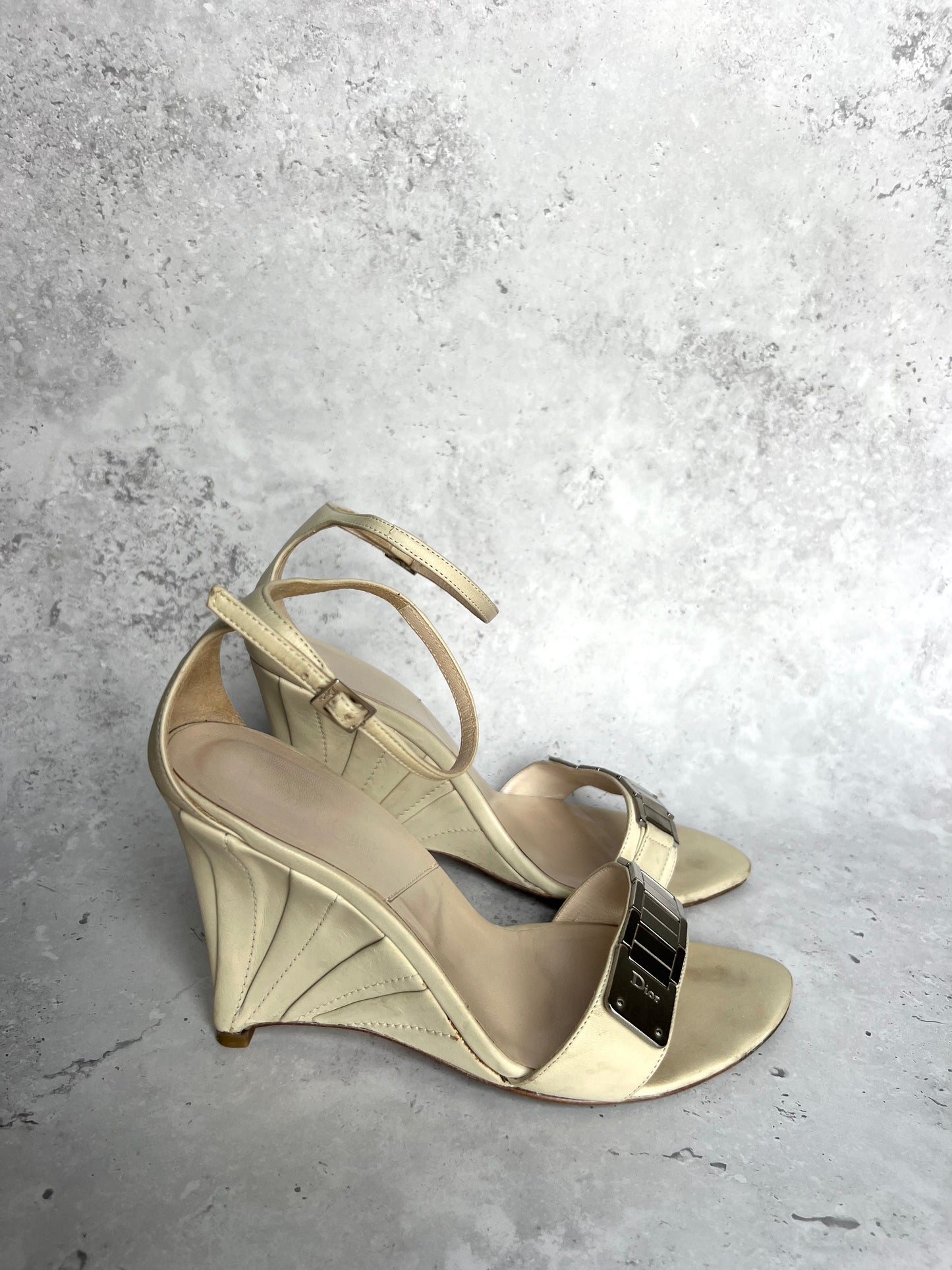 Dior Metal Strap Wedges