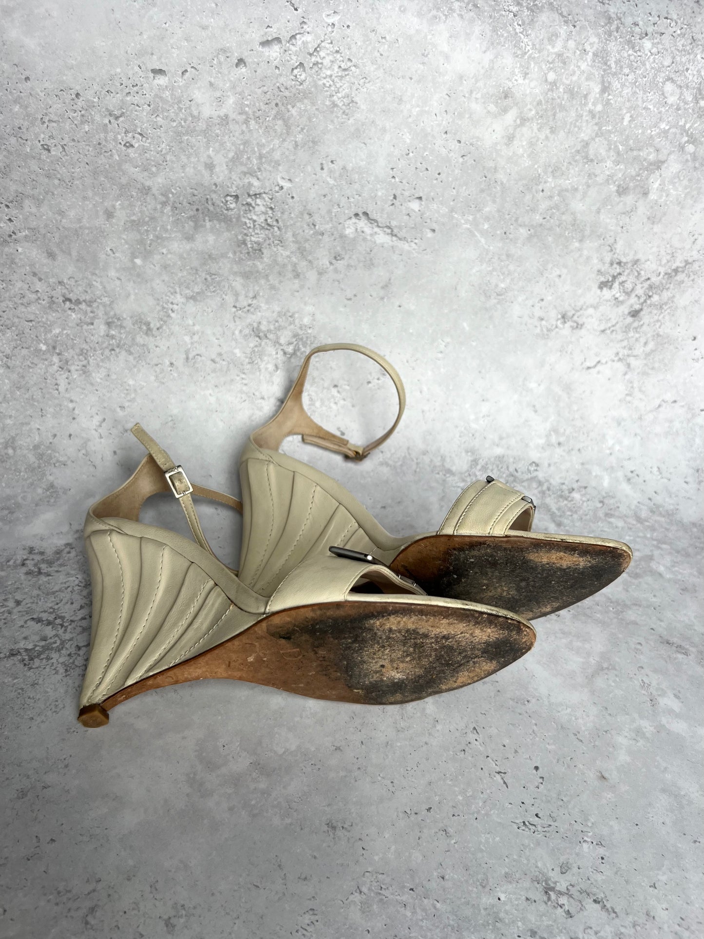 Dior Metal Strap Wedges