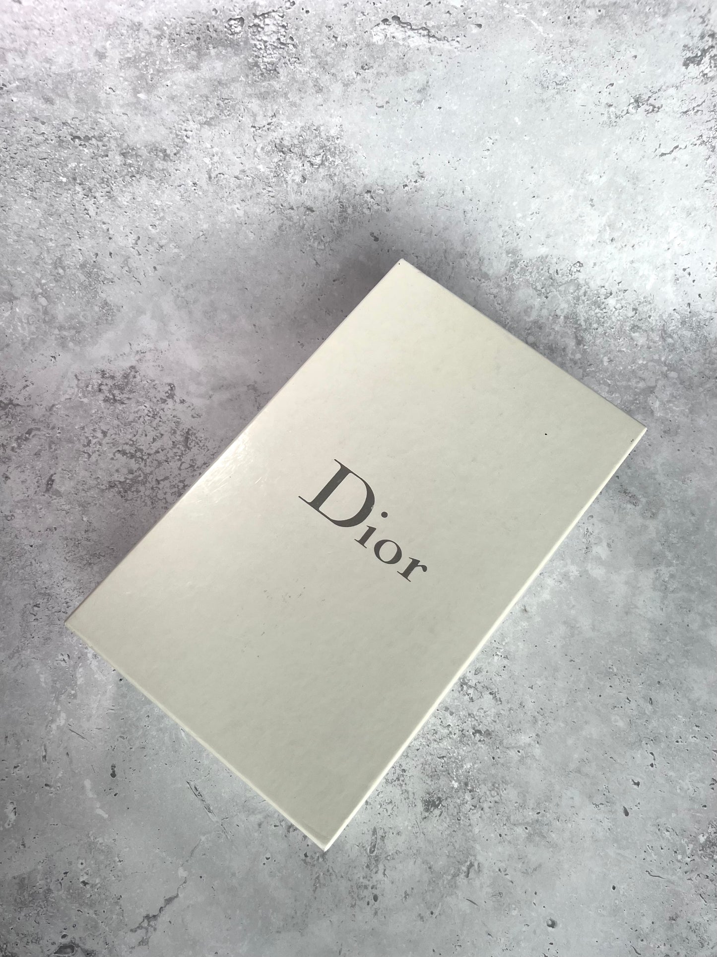 Dior Metal Strap Wedges