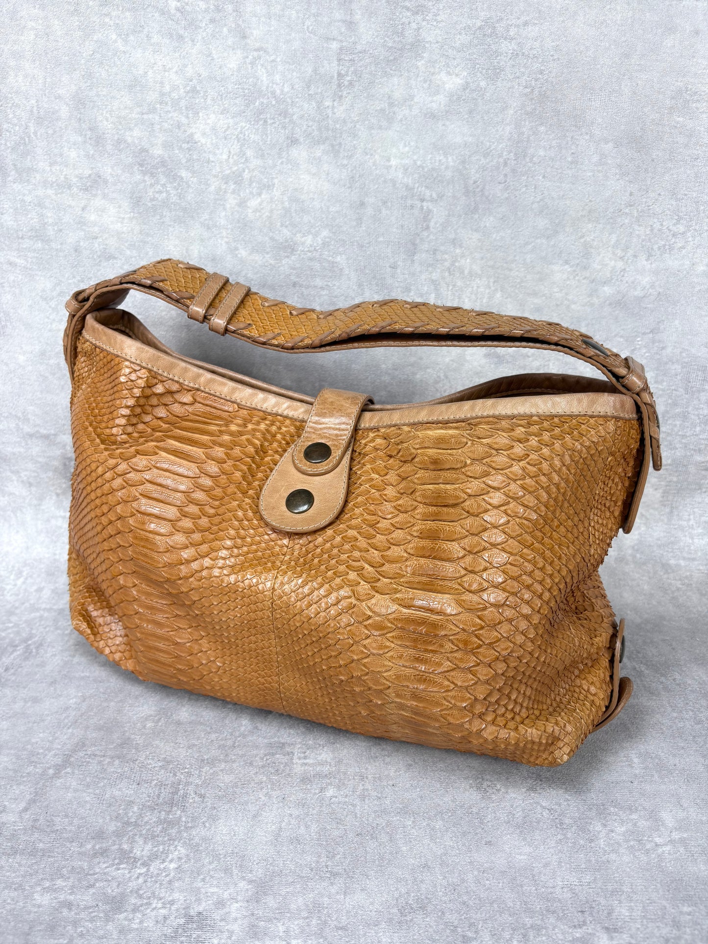 Chloe Silverado Python Bag