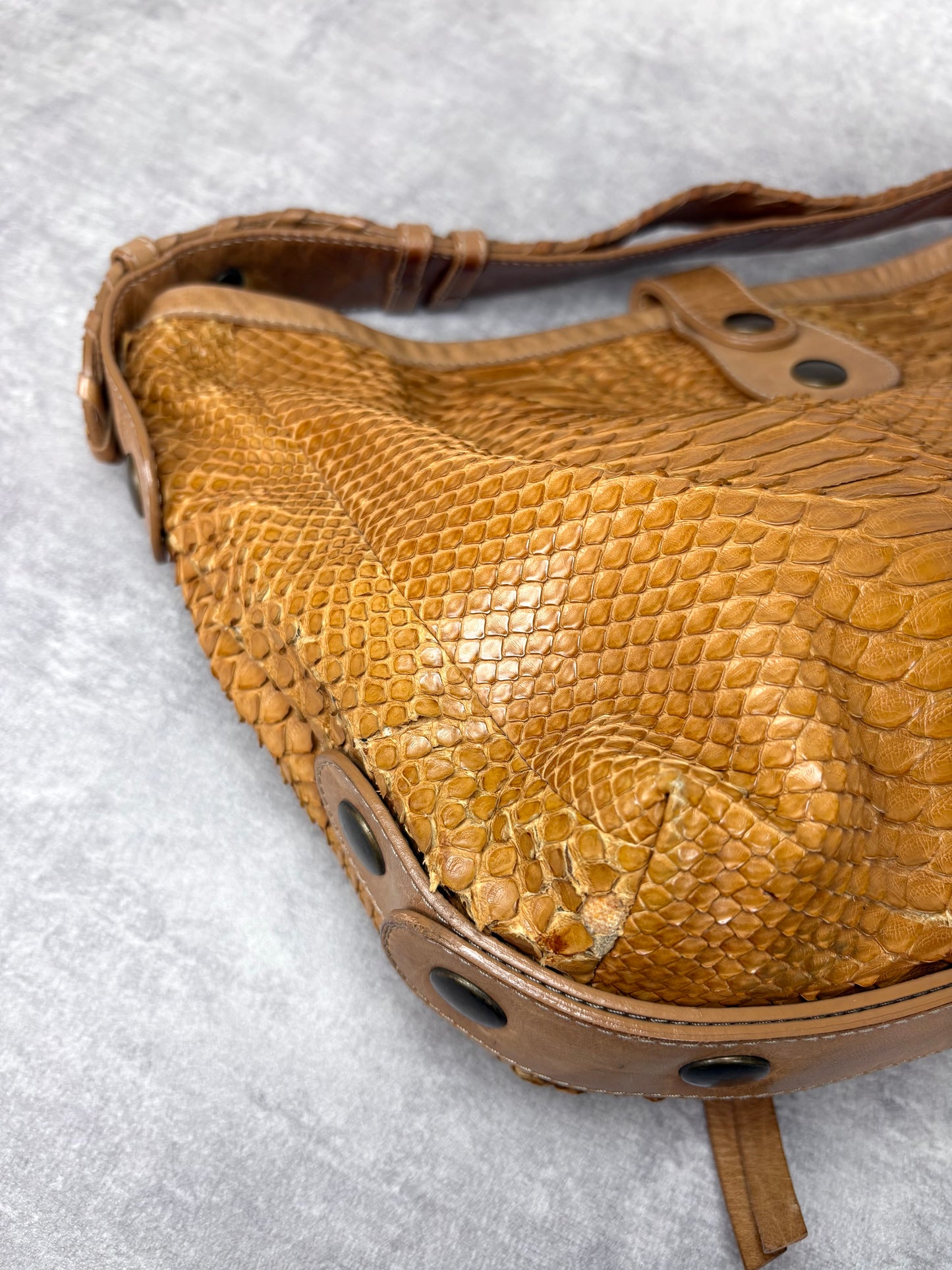 Chloe Silverado Python Bag